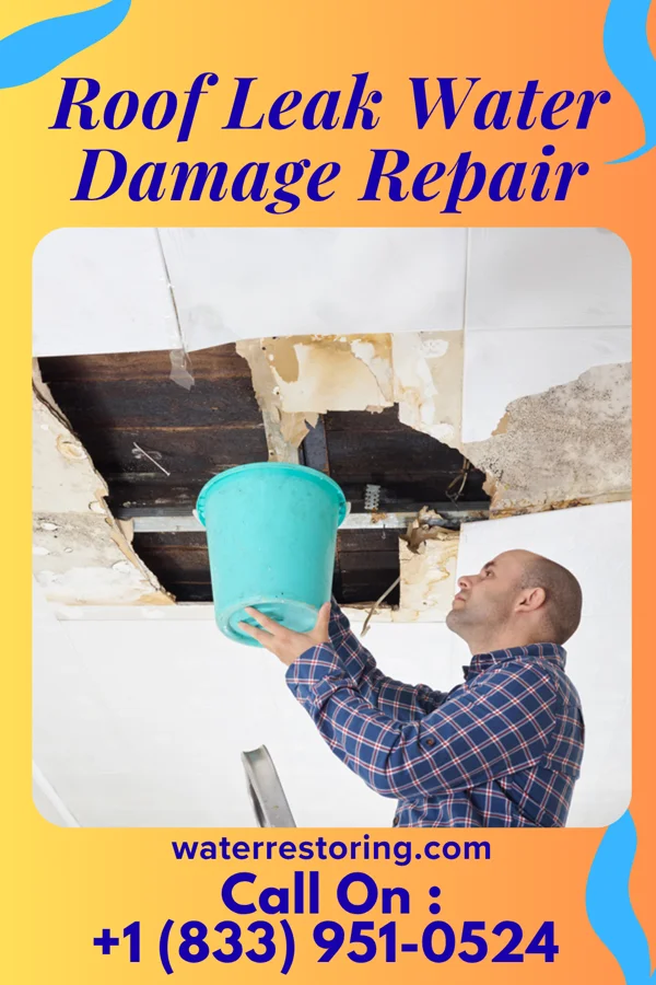 Roof Leak Water Damage Repair in Nanticoke, PA