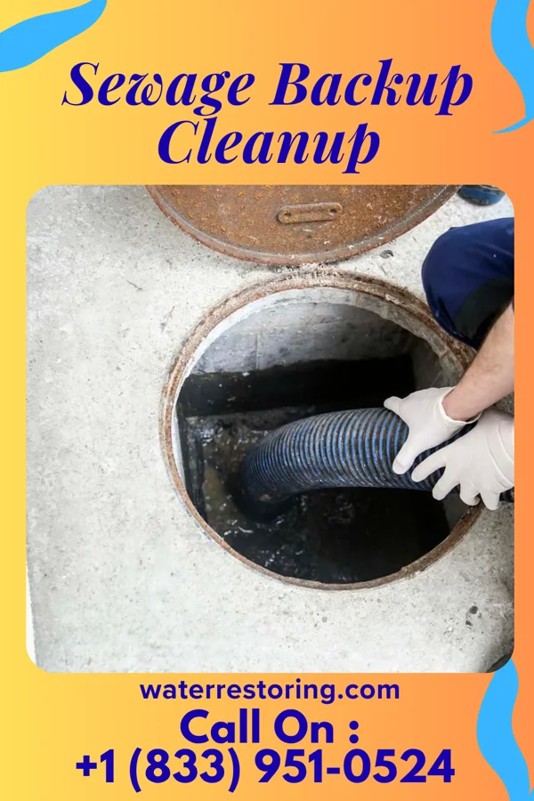 Sewage Backup Cleanup in Nanticoke, PA