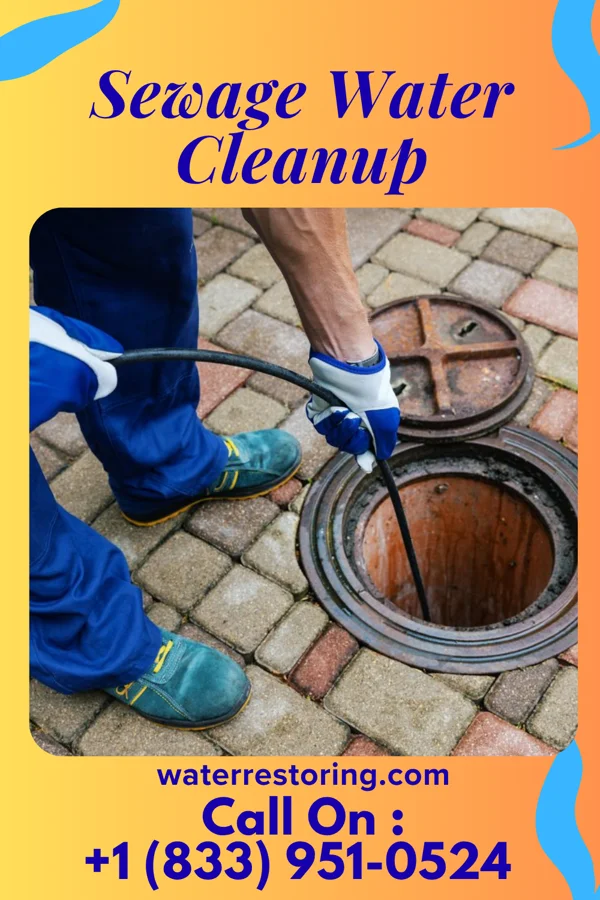 Sewage Water Cleanup in Nanticoke, PA