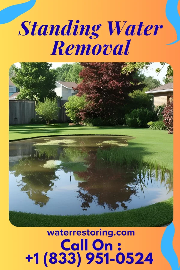 Standing Water Removal in Nanticoke, PA